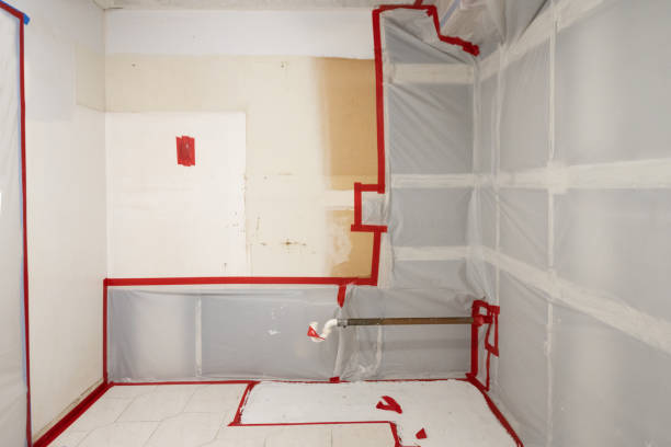 Mold Documentation for Insurance Claims in Florissant, MO