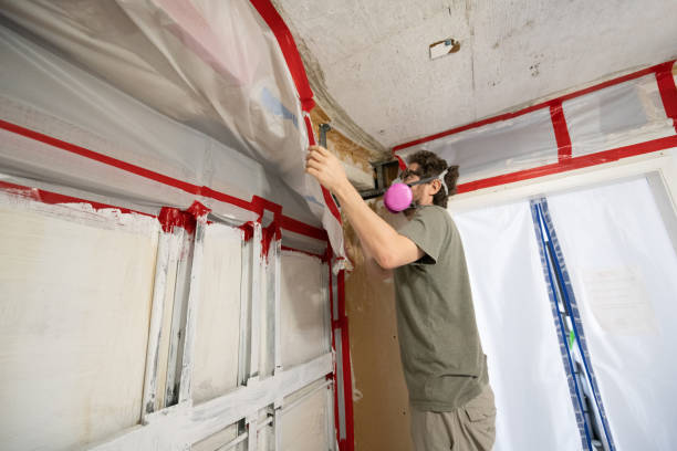 Best Biohazard Mold Removal  in Florissant, MO