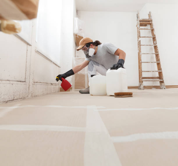 Best Mold Remediation for Rental Properties  in Florissant, MO